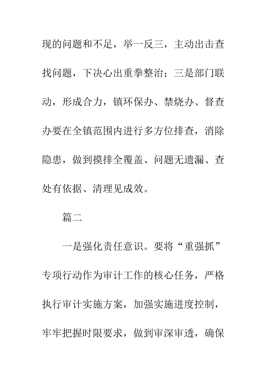 “重实干、强执行、抓落实”专项会议发言稿_第3页