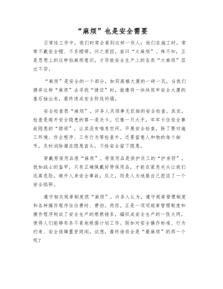 “麻烦”也是安全需要