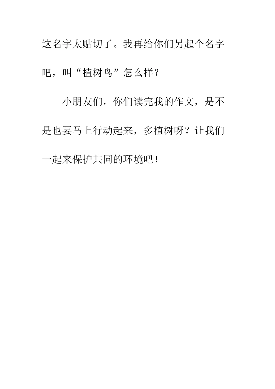 《会植树的鸟》读后感_第3页