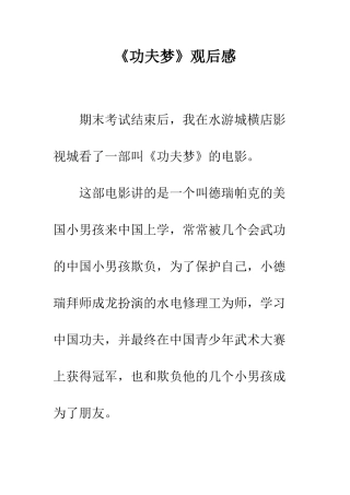 《功夫梦》观后感