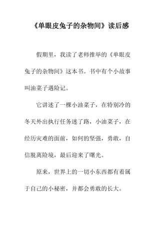 《单眼皮兔子的杂物间》读后感