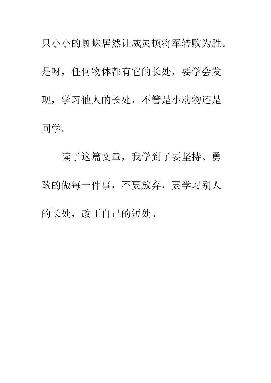 《将军和蜘蛛》读后感_第3页