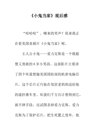 《小鬼当家》观后感