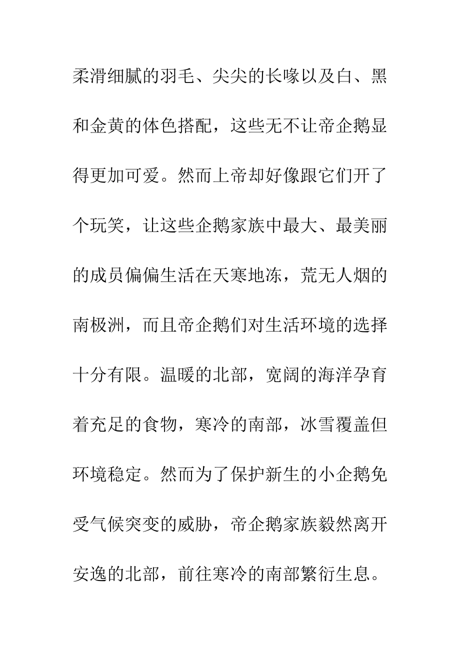 《帝企鹅日记》观后感_第2页