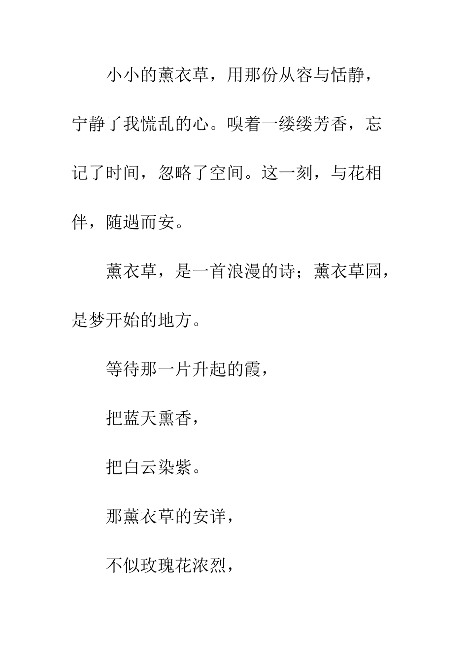 《徜徉薰衣草的国度》_第2页