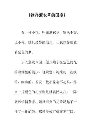 《徜徉薰衣草的国度》