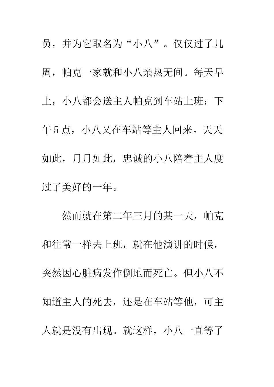 《忠犬小八》观后感_第2页