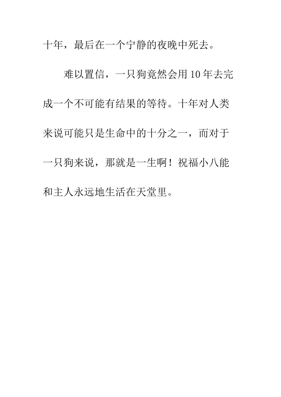 《忠犬小八》观后感_第3页