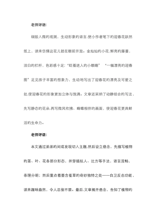 《我的植物朋友》作文评语