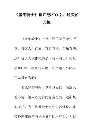 《盔甲骑士》读后感800字蜕变的天使