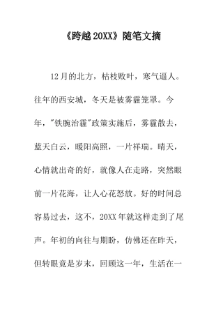 《跨越20XX》随笔文摘
