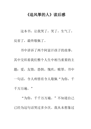 《追风筝的人》读后感
