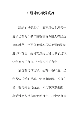 ㄓ踢球的感觉真好