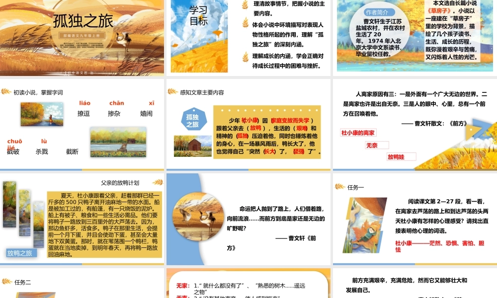 【同课异构】孤独之旅