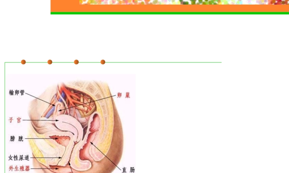 08-10_妇科疾病与女性性功能