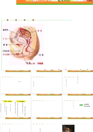 08-10_妇科疾病与女性性功能