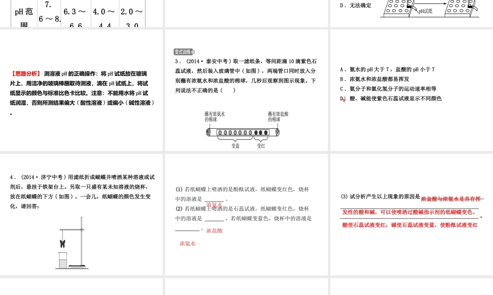 08第八讲 第2课时