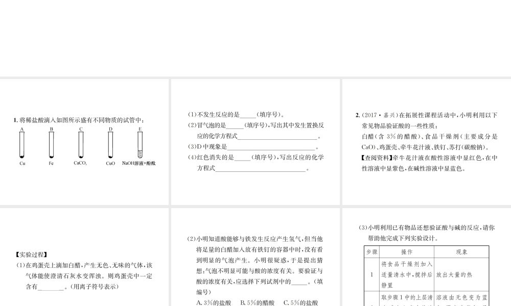09  实验专题(一)  酸的化学性质