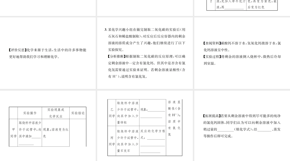 09  实验专题(一)  酸的化学性质