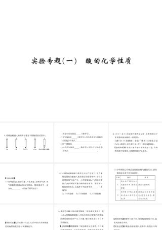 09  实验专题(一)  酸的化学性质