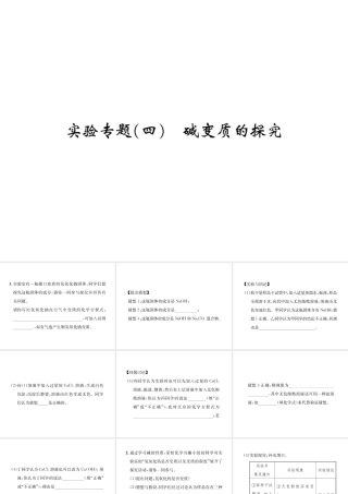 09 实验专题(四)  碱变质的探究