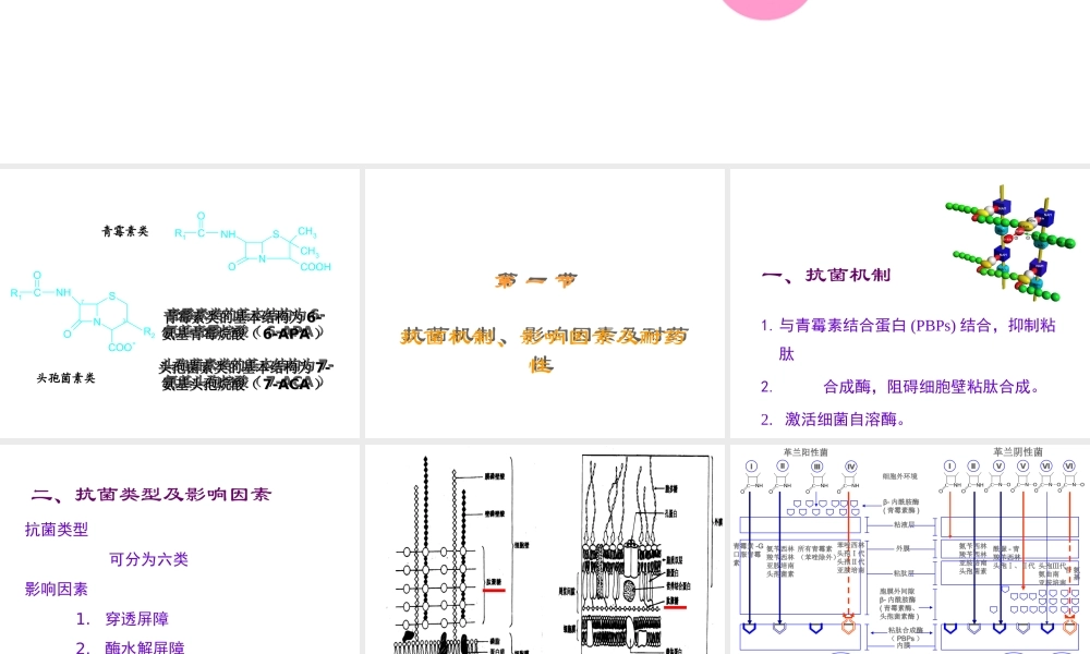 09秋-药理-38-
