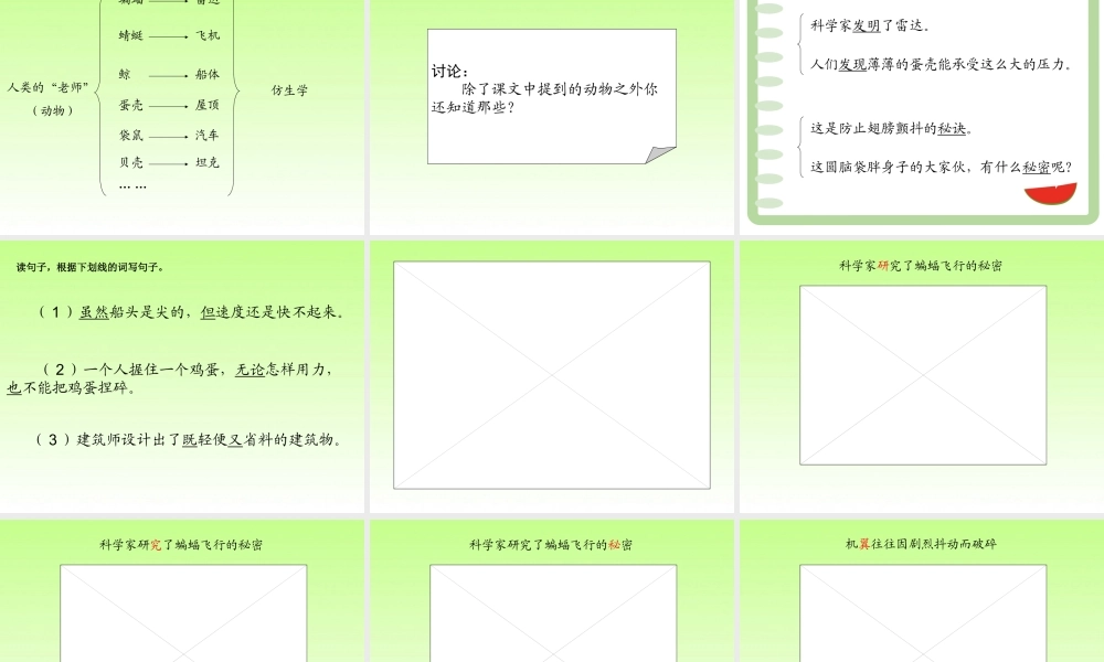 09人类的“老师”