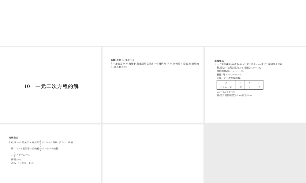 10   一元二次方程的解