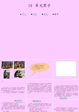 10  军犬黑子