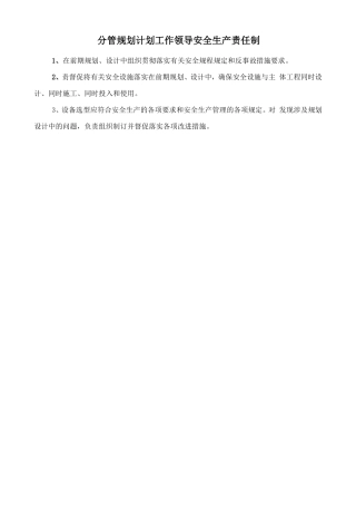 分管规划计划工作领导安全生产责任制
