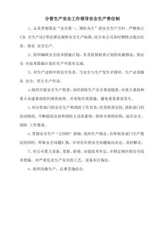分管生产安全工作领导安全生产责任制