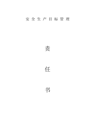【汇编】塑业公司安全责任书汇编（22页）