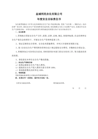 安全目标责任书（财务副总）