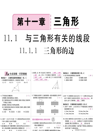 11.1.1三角形的边.pptx