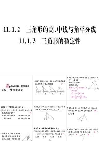 11.1.2  三角形的高、中线与角平分线 11.1.3  三角形的稳定性..pptx