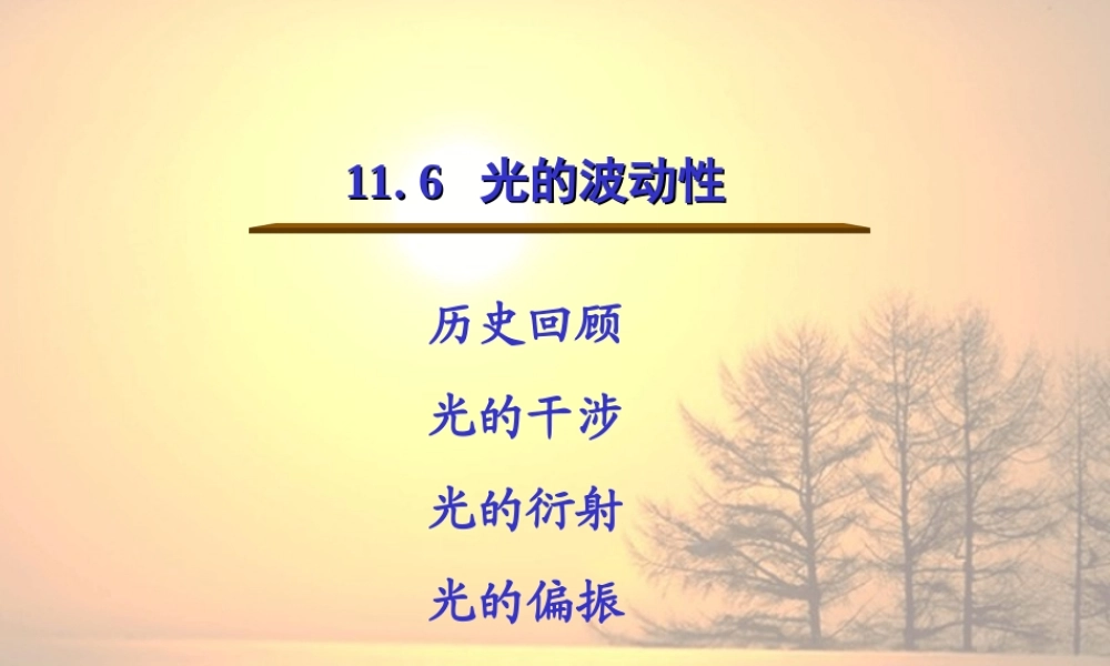 11.6  光的波动性