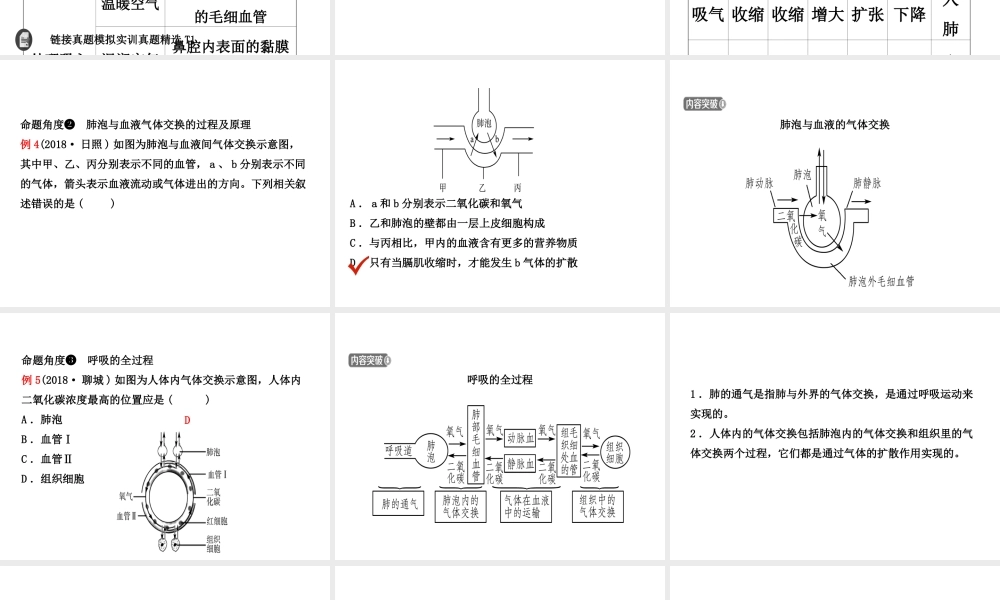 11第四单元 第三章