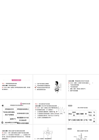 11第四单元 第三章