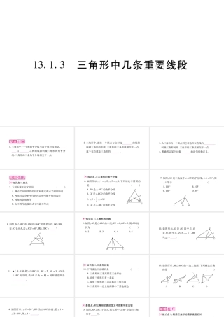 13.1.3    三角形几条重要线段