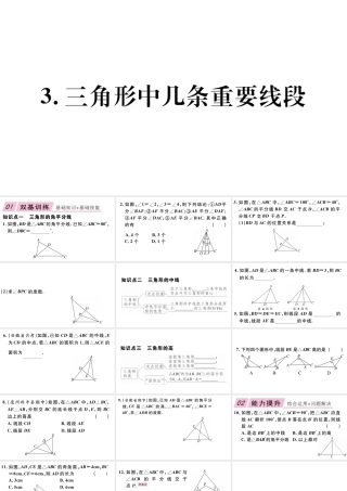 13.1.3.三角形中几条重要线段