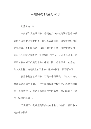一只受伤的小鸟作文300字