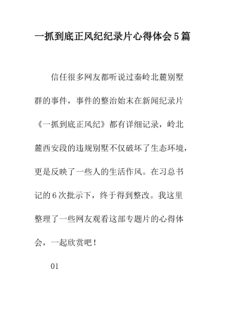 一抓到底正风纪纪录片心得体会5篇