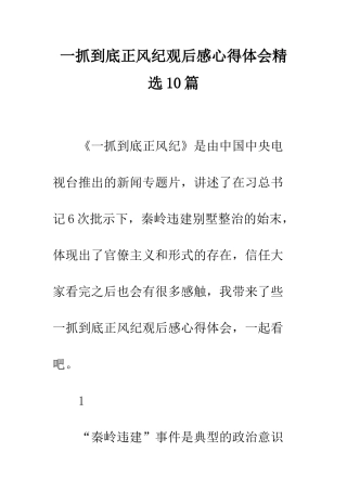 一抓到底正风纪观后感心得体会精选10篇