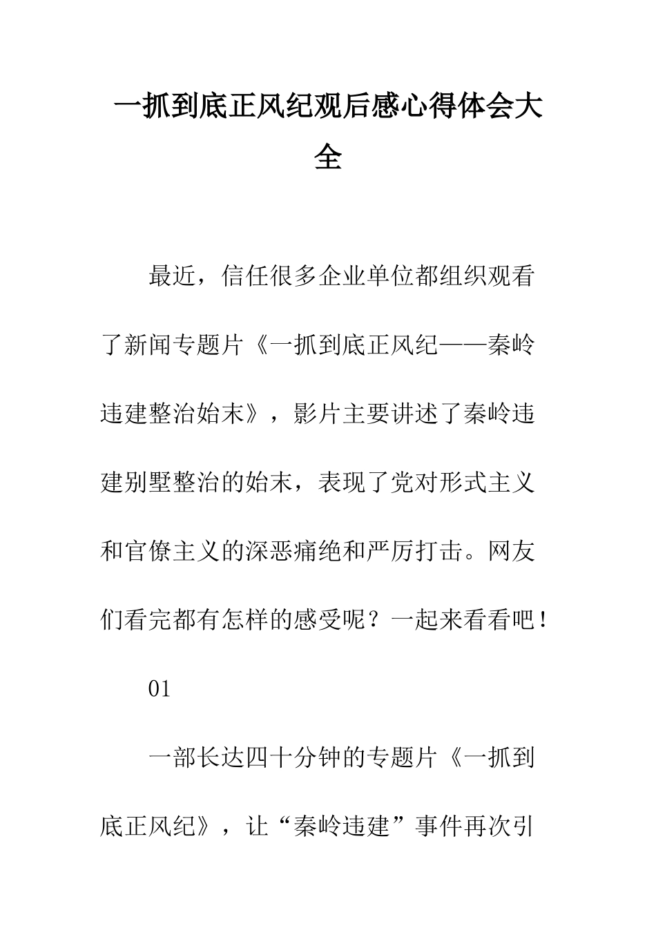 一抓到底正风纪观后感心得体会大全_第1页