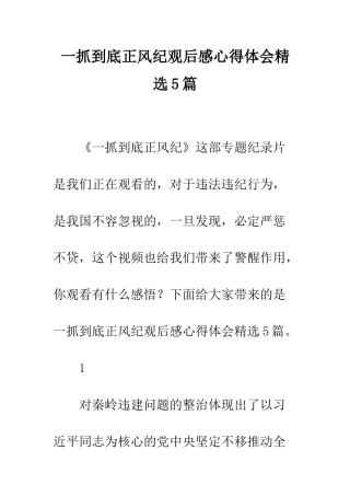 一抓到底正风纪观后感心得体会精选5篇