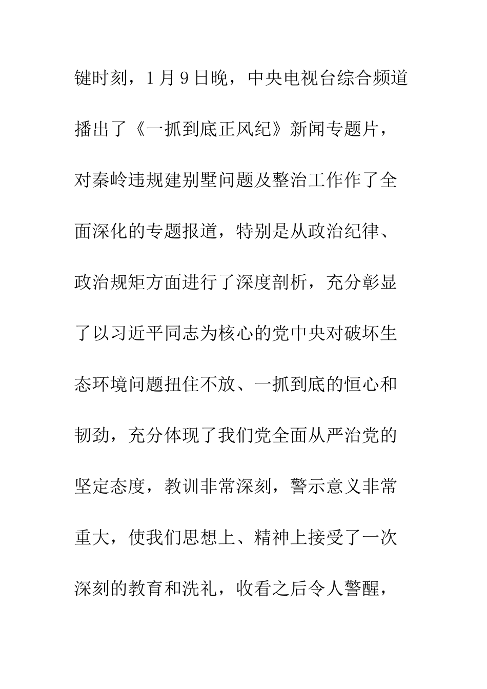 一抓到底正风纪观后感精选6篇_第2页