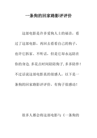 一条狗的回家路影评评价