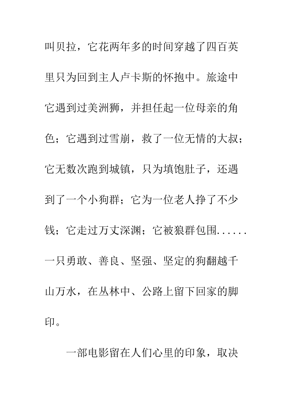 一条狗的回家路电影观后感_第2页