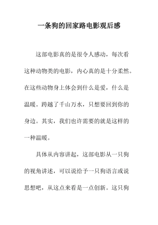 一条狗的回家路电影观后感