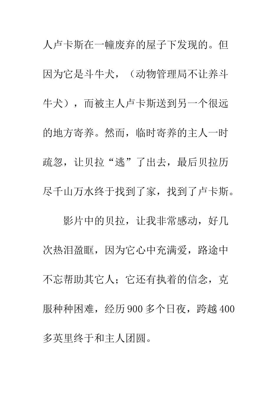 一条狗的回家路观后感500字作文_第2页